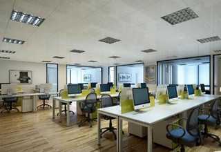 旅顺口区转基因花卉种植技术加工