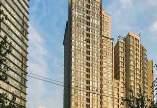 西湖区客厅植物租赁服务商