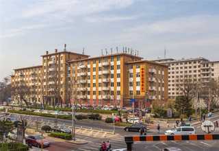 湖北网络头价格查询